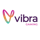 Vibra Gaming Developer